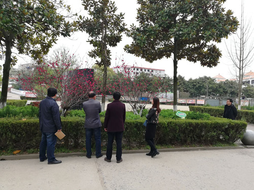 图片65.png
